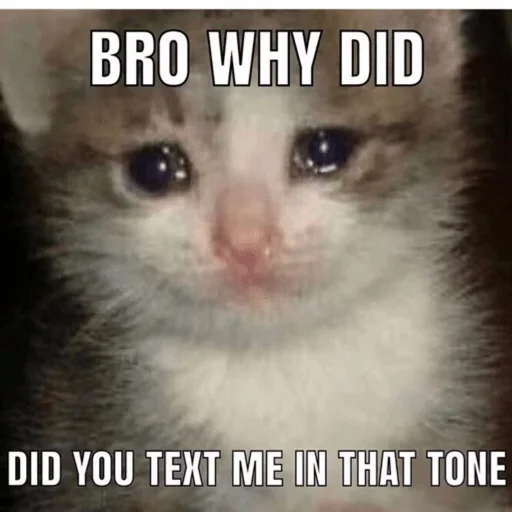 Sticker дорины стикеры — @stckrRobot - 3