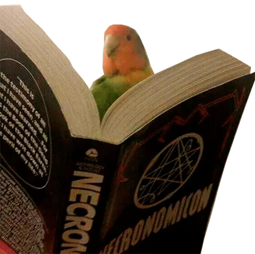 text book publication