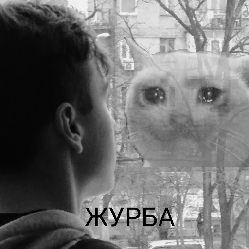 животное млекопитающее дерево