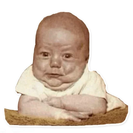 Стикер F O X — @stckrRobot - 3