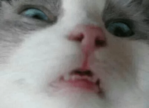 Стикер KaraStikerPack v3.0 — @stckrRobot - 10