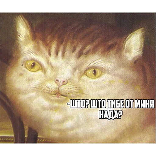 животное млекопитающее кошка