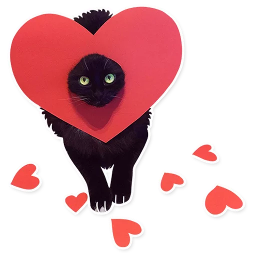 кошка животное мультфильм