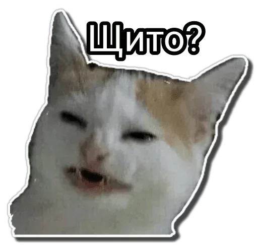 животное млекопитающее кошки малого и среднего размера