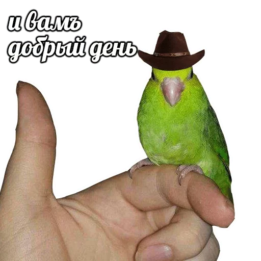 Стикер Для редких обсуждений — @stckrRobot - 5