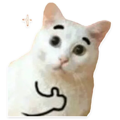 кошки малого и среднего размера домашняя кошка кошка