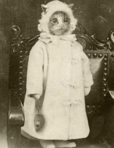 clothing retro style human face