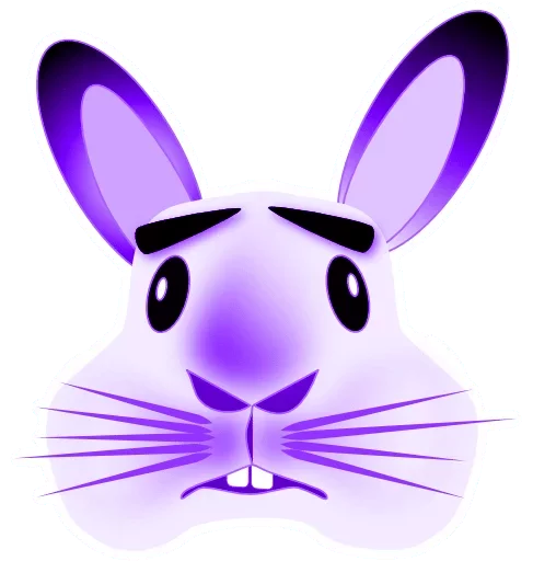 кролик кролики и зайцы животное