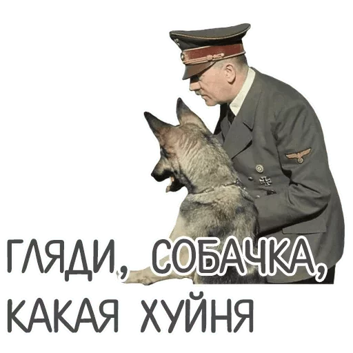 СМС одежда мужчина