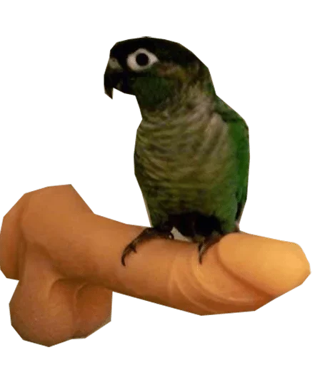 Sticker Hanka’s fav stickers — @stckrRobot - 7