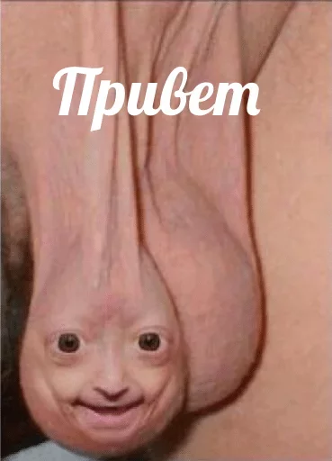 СМС кожа плоть