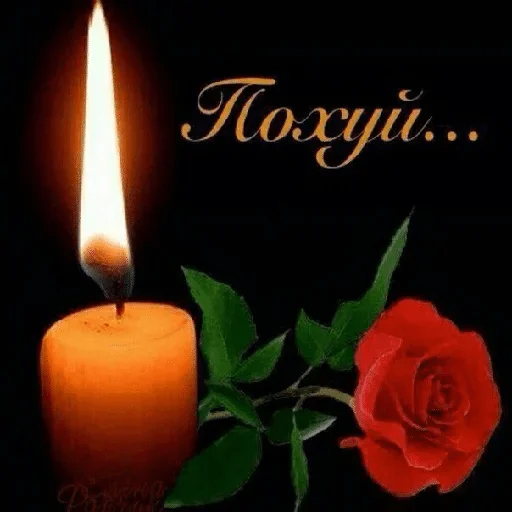 Икатель онлайн 2 — @stckrRobot - text