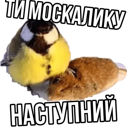 Стикер UKROP — @stckrRobot - 6