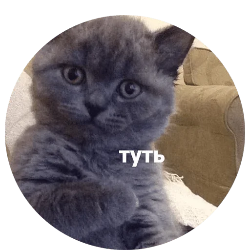 tiny cock — @stckrRobot - cartoon