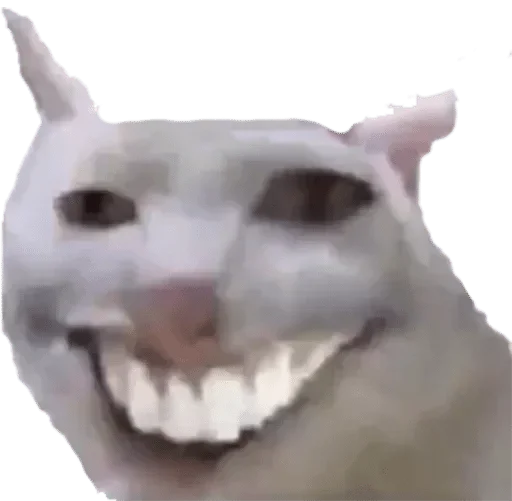 Стикер vanbka9_stickers — @stckrRobot - 5