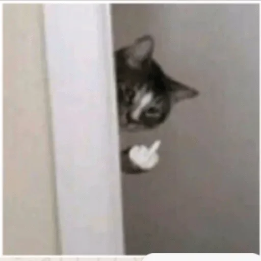 Стикер vanbka9_stickers — @stckrRobot - 4