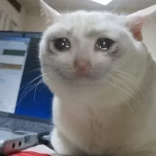 Стикер vanbka9_stickers — @stckrRobot - 2