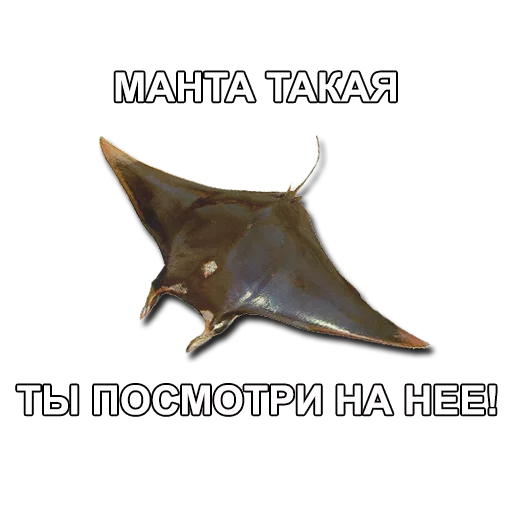 животное .bat млекопитающее