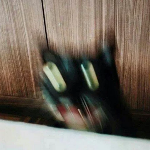 Размыто смазывать комнатный