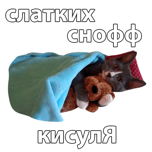 СМС плакат