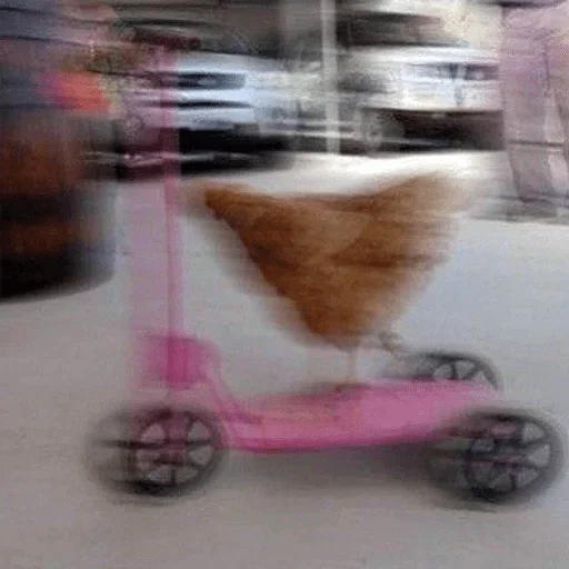 колесо шина транспорт