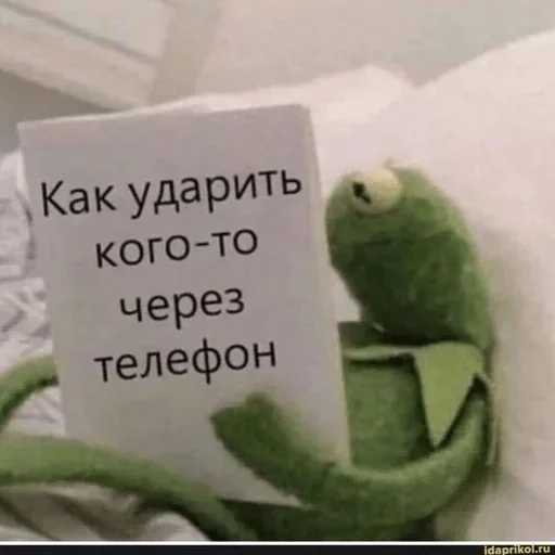 СМС попугай комнатный