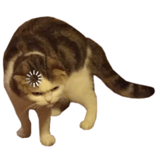 Sticker aaaa — @stckrRobot - 7