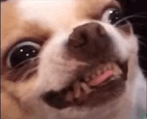 Sticker aaaa — @stckrRobot - 1