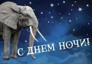 Sticker Чат Рулетка @SpeakAnonBot - 10