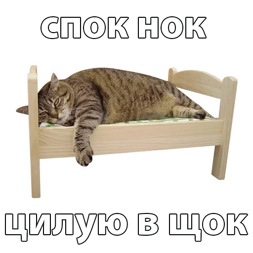 Стикер Lika’s stickars — @stckrRobot - 11
