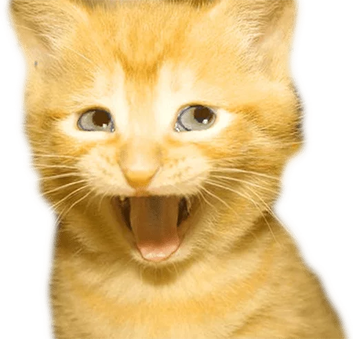 Стикер Lika’s stickars — @stckrRobot - 9