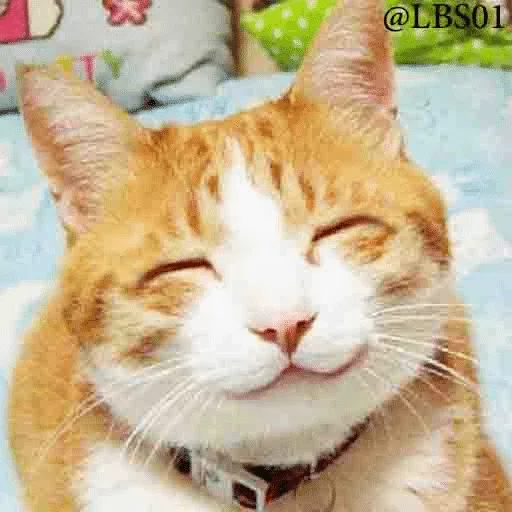 Стикер Lika’s stickars — @stckrRobot - 7