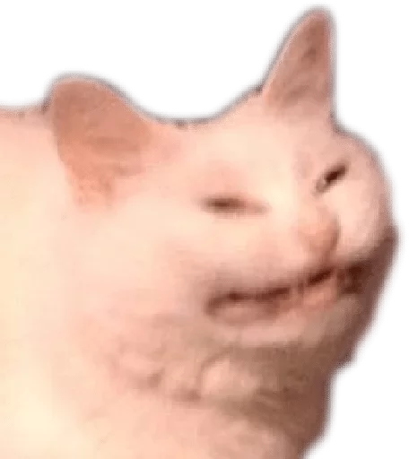 Стикер Lika’s stickars — @stckrRobot - 3