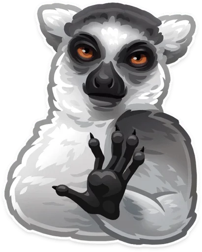 primate lemur animal