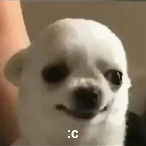 Стикер special_for_xiu - 1