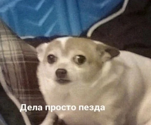 Sticker special_for_xiu - 1