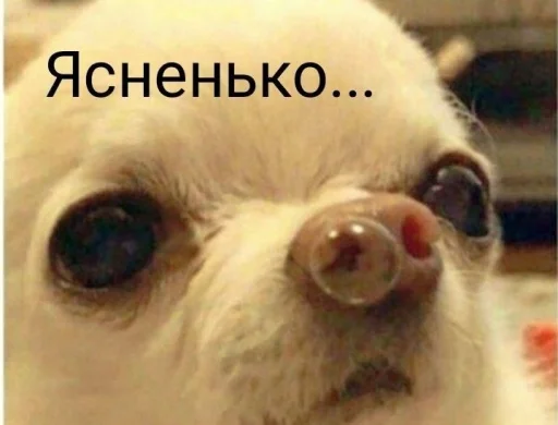 Sticker special_for_xiu - 1