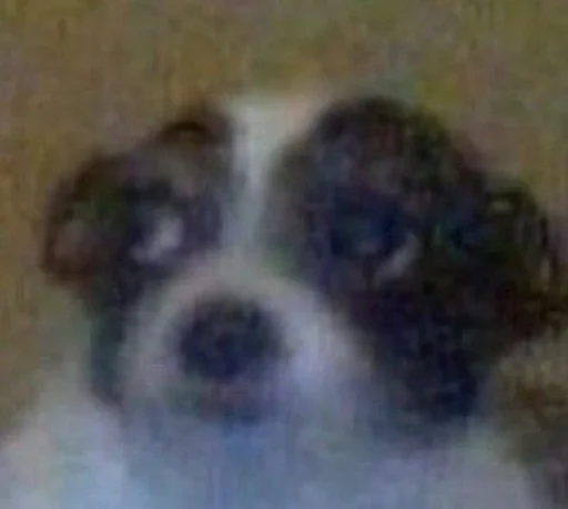 Sticker special_for_xiu - 1