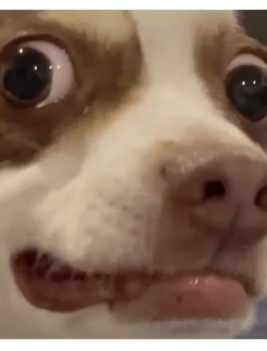 Sticker special_for_xiu - 1