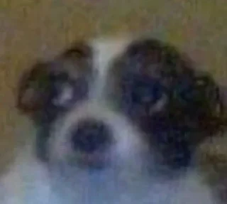 Стикер Special for xiu - 3