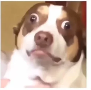 Стикер Special for xiu - 10