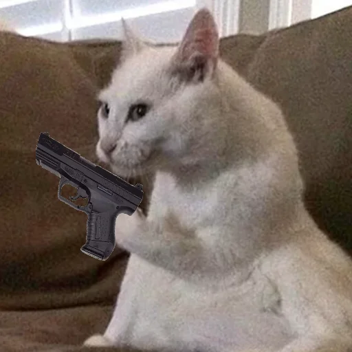 indoor small to medium-sized cats weapon