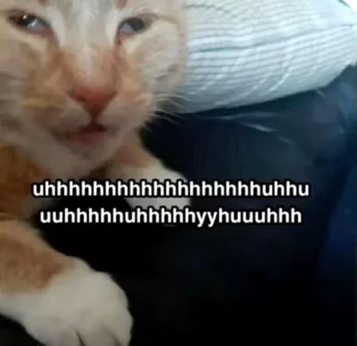 Стикер speepy - 1