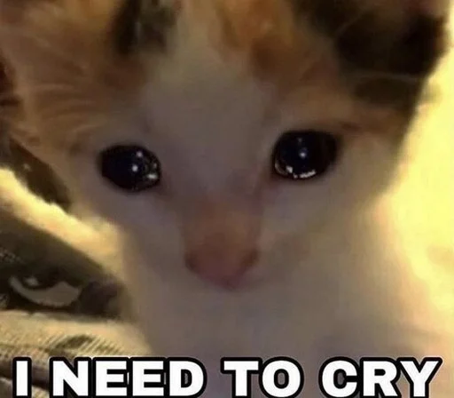 Стикер speepy - 1