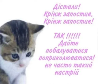 Sticker Кітики - 4