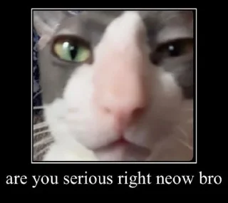 Sticker Кітики - 11