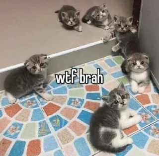 Sticker Кітики - 9