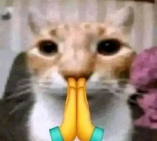 Sticker Кітики - 2