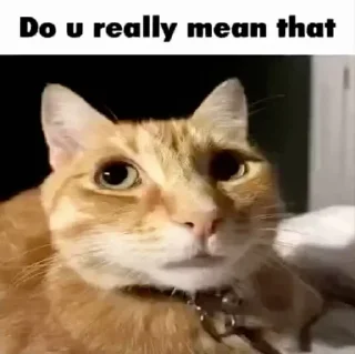 Sticker Кітики - 5