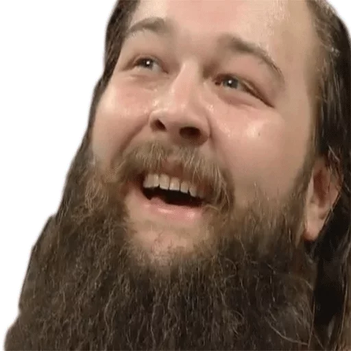 человеческая борода человеческое лицо волосы на лице